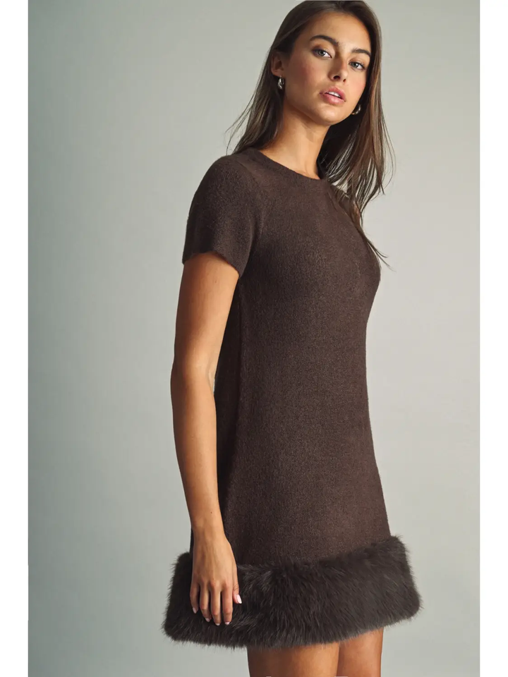 Cozy Faux Fur Trimmed Mini Dress