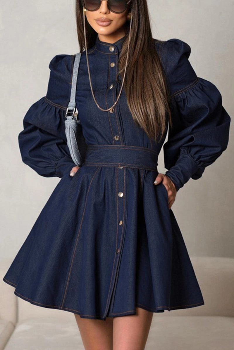 Button Down Puff Sleeve Denim Dress