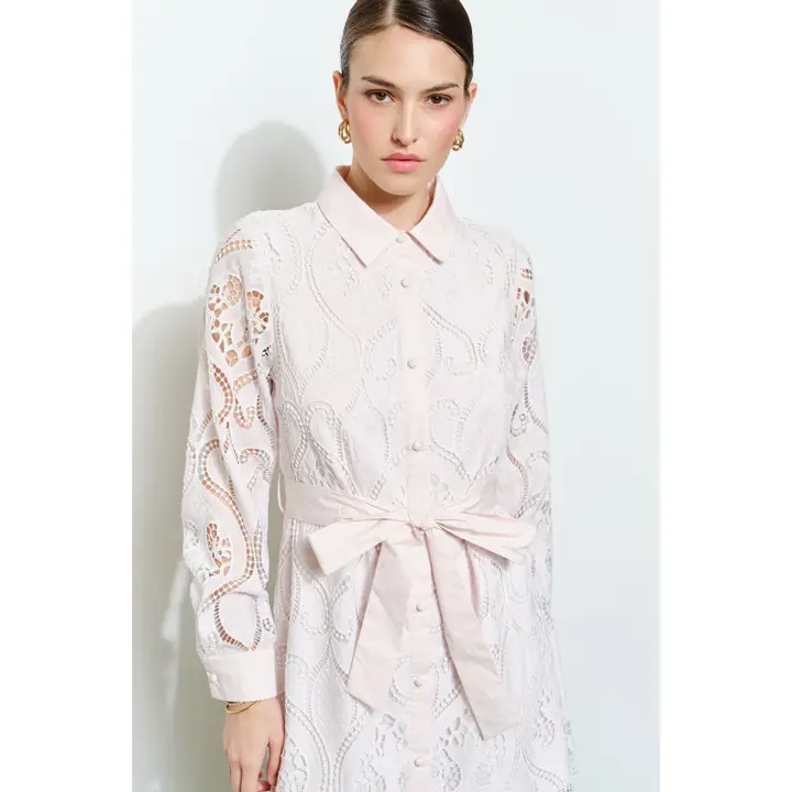 Lace Embroidered Waist Tie Long Sleeve Mini Dress