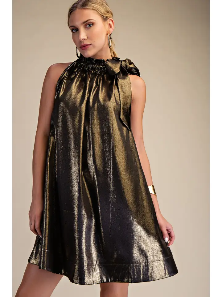 Nadine Round Neck Tie Mini Dress