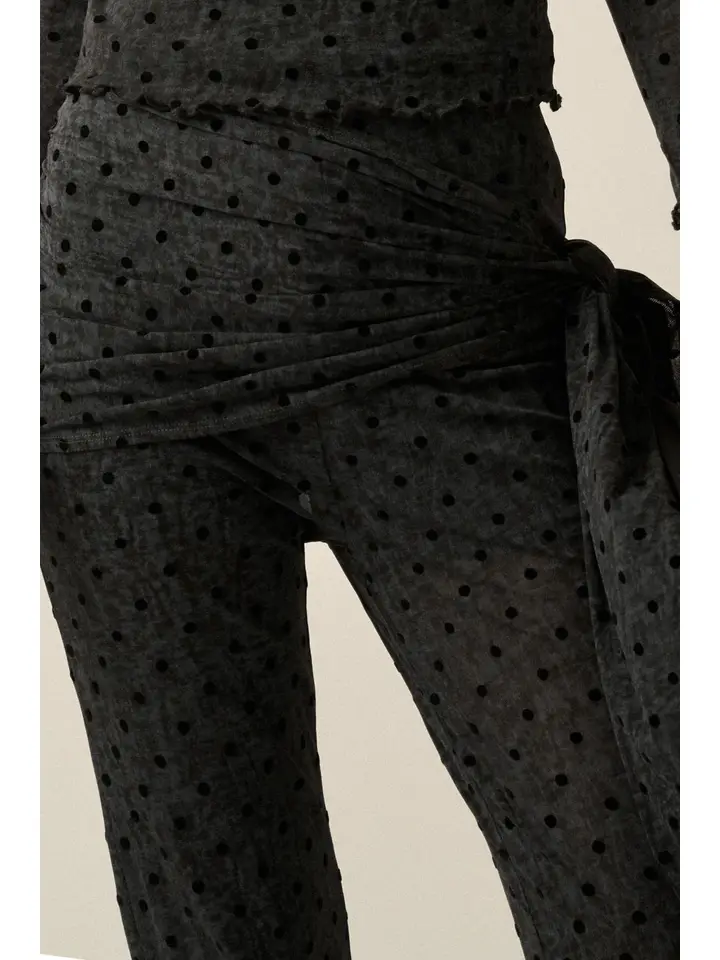 Polka Dot Mesh Tie Waist Fitted Flare Pants