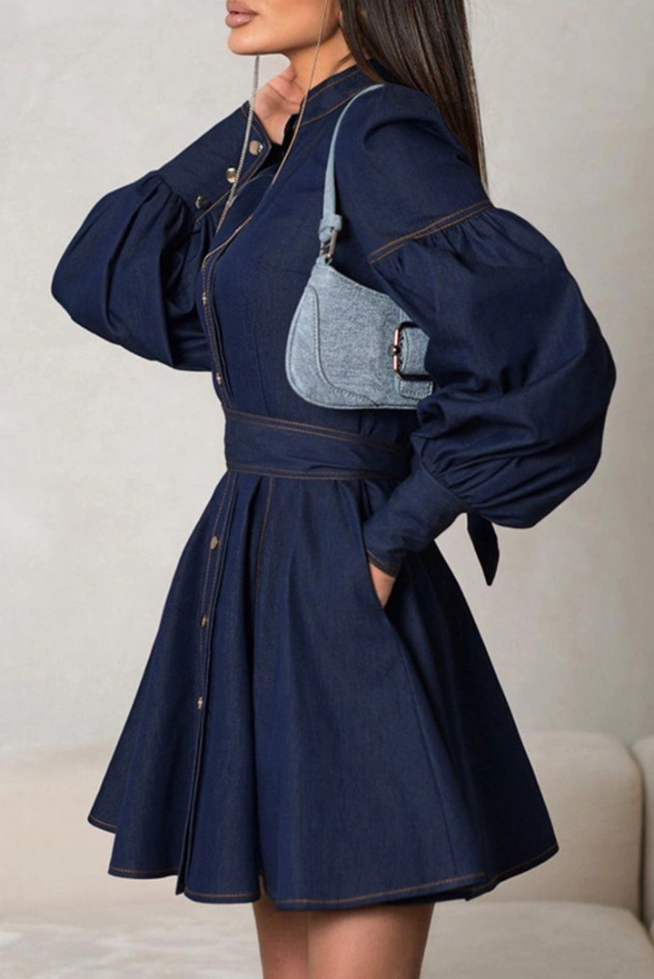Button Down Puff Sleeve Denim Dress