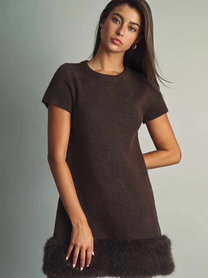 Cozy Faux Fur Trimmed Mini Dress