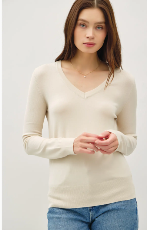 Everyday Classic V- Neck Knit Sweater ( Many Fall Colors!)