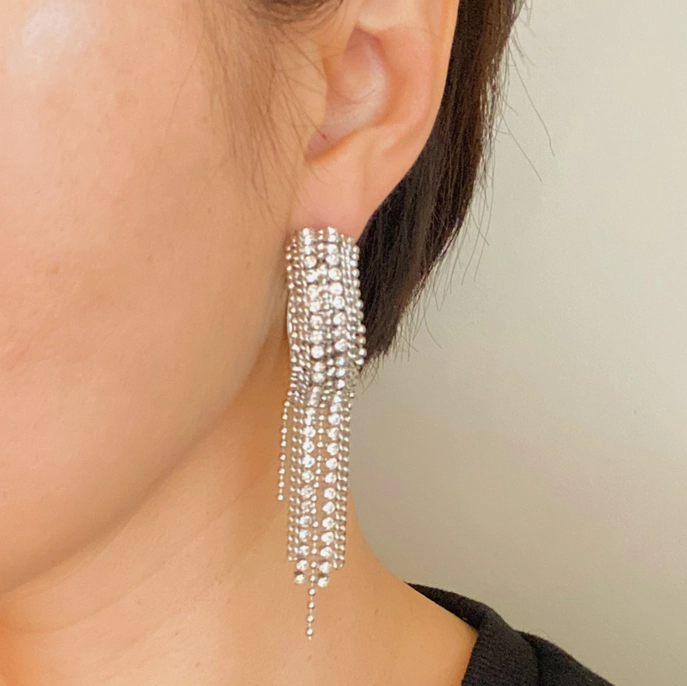 Sparkles On the Hoop Earrings