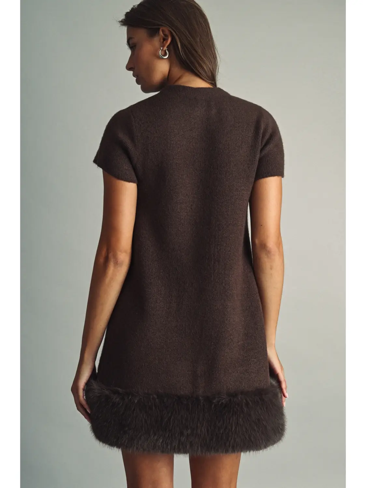 Cozy Faux Fur Trimmed Mini Dress