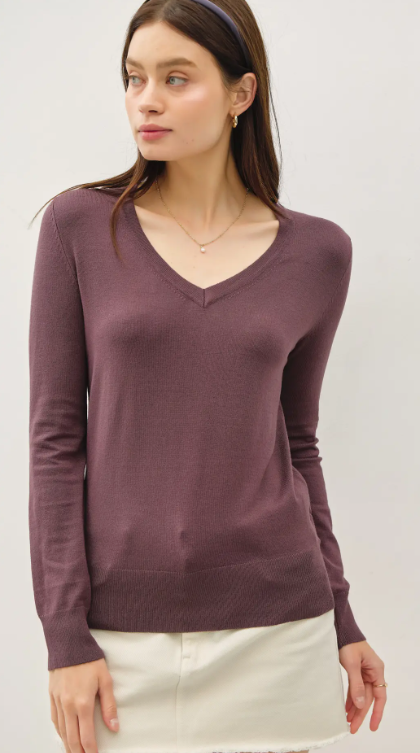 Everyday Classic V- Neck Knit Sweater ( Many Fall Colors!)