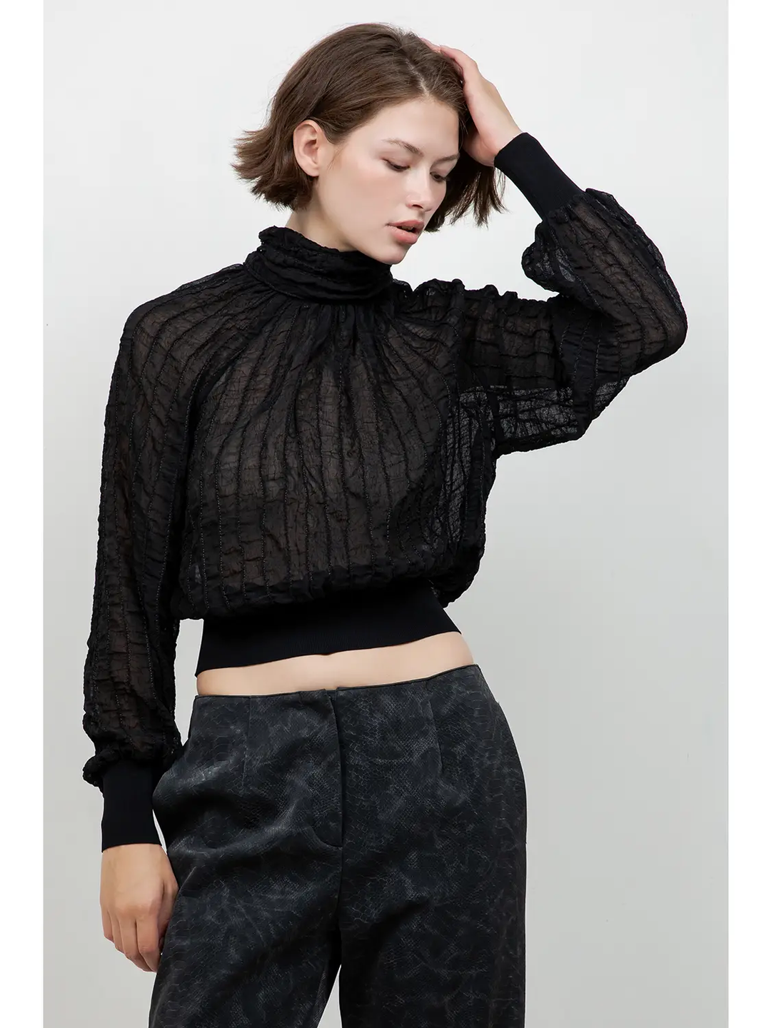 Semi Sheer Turtle Neck Textured Blouse
