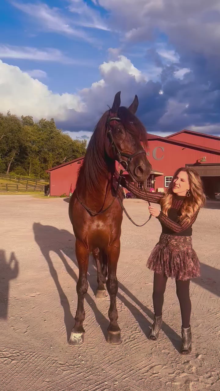 Floral Print Drop Waist Pleated Mini Skort