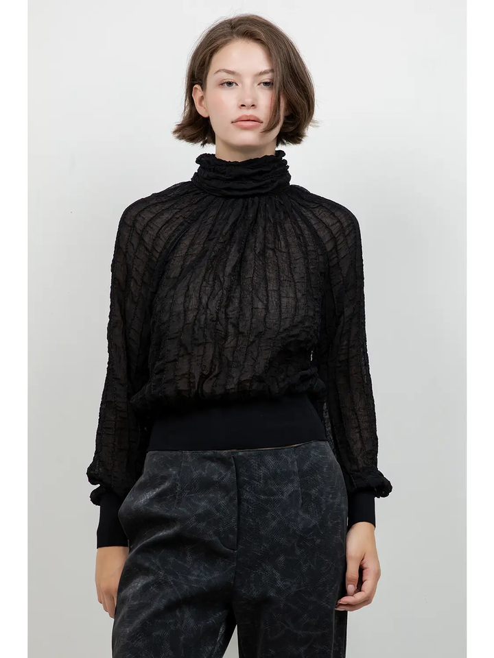 Semi Sheer Turtle Neck Textured Blouse