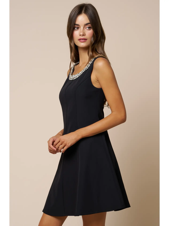 Jeweled Neckline Fit & Flare Mini Dress