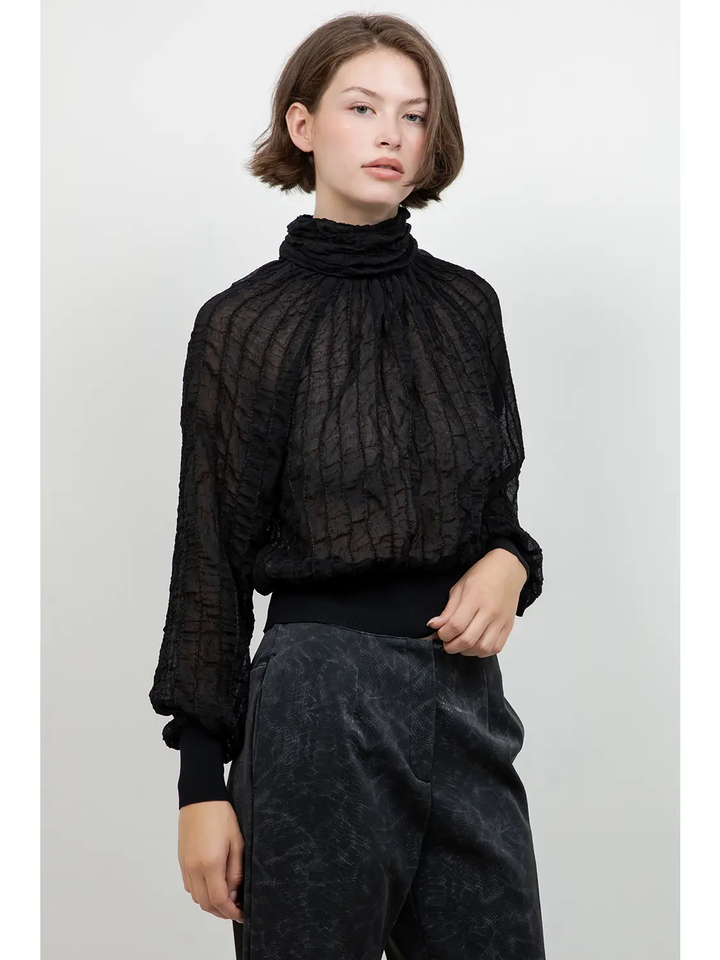 Semi Sheer Turtle Neck Textured Blouse