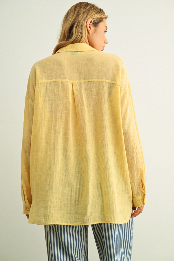 Buttondown Basic Cotton Shirts