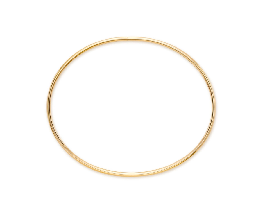 Shaye Bangle Anklet- Titanium Waterproof (Available in yellow gold only)