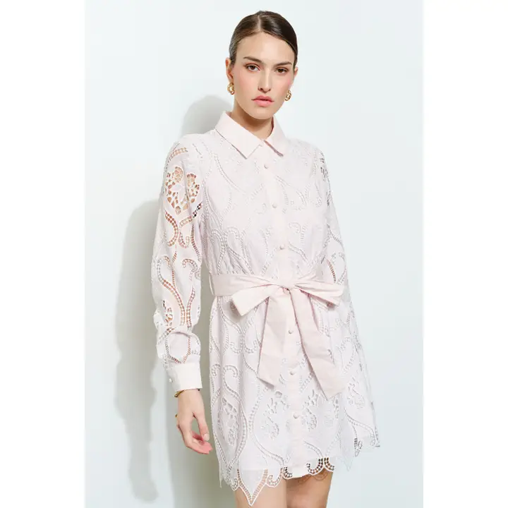 Lace Embroidered Waist Tie Long Sleeve Mini Dress